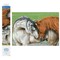 Diamond Dotz Courtship Horse Diamond Painting Kits for Adults - Diamond Art Kits a Relaxing Creative Craft Kit with Dotz Gems 17.7x24.4